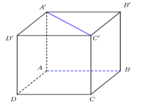 Cho hình lập phương ABCD.A'B'C'D' (tham khảo hình vẽ). Đường thẳng nào sau đây vuông góc với đường thẳng A'C'. (ảnh 1)