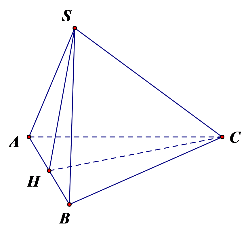 D (ảnh 1)