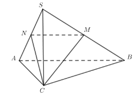 N (ảnh 1)