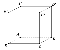 Cho hình lập phương ABCD.A'B'C'D'. Mặt phẳng (ABCD) không vuông góc với mặt phẳng nào dưới đây? (ảnh 1)