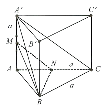 (A'B, C'C) = 45°. (ảnh 1)