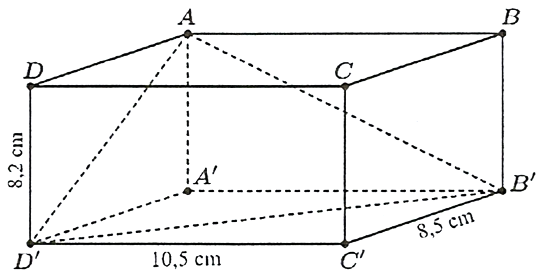 Tìm góc phẳng nhị diện [A, B'D', A'] (tính theo độ, làm tròn kết quả đến hàng phần mười). (ảnh 1)