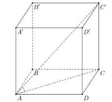 Cho hình lập phương ABCD.A'B'C'D' (tham khảo hình vẽ). Giá trị sin của góc giữa đường thẳng AC' và mặt phẳng (ABCD) bằng  	 (ảnh 1)