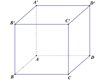 Cho hình lập phương ABCD.A'B'C'D' (tham khảo hình vẽ bên dưới). Góc giữa đường thẳng AD và A'C' là  	 (ảnh 1)