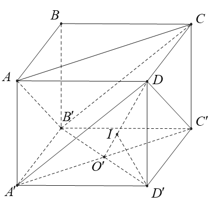 C (ảnh 1)