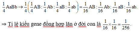 Cho một nhóm kiểu gene có tỉ lệ 1/4 AABB : 1/4 AABb: 1/4 AaBB: 1/4 AaBb   tiến hành giao phối ngẫu nhiên. Tỉ lệ kiểu gene đồng lặn ở thế hệ con là  (ảnh 1)