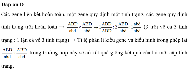 Trong trường hợp các gene liên kết hoàn toàn, một gene quy định một tính trạng, các gene quy định tính trạng trội hoàn toàn, tỉ lệ phân li kiểu gene và kiểu hình trong phép lai   sẽ có kết quả giống kết quả của 	A. tương tác gene. 		B. trường hợp đa hiệu. 	C. lai hai cặp tính trạng.	D. lai một cặp tính trạng. (ảnh 1)