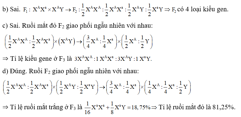 Cho ruồi giấm cái mắt đỏ giao phối với ruồi giấm đực mắt trắng (P), thu được F1 toàn ruồi mắt đỏ. Cho ruồi F1 giao phối với nhau, thu được F2 có kiểu hình phân li theo tỉ lệ 3 ruồi mắt đỏ : 1 ruồi mắt trắng, trong đó tất cả các ruồi mắt trắng đều là ruồi đực. Cho biết tính trạng màu mắt ở ruồi giấm do một gene có hai allele quy định. Theo lí thuyết, mỗi phát biểu sau là đúng hay sai? a) Ở thế hệ P, ruồi cái mắt đỏ có hai loại kiểu gene. b) Ở F2 có 5 loại kiểu gene. c) Cho ruồi mắt đỏ F2 giao phối ngẫu nhiên với nhau, thu được F3 có kiểu gene phân li theo tỉ lệ 1 : 2 : 1. d) Cho ruồi F2 giao phối ngẫu nhiên với nhau, thu được F3 có số ruồi mắt đỏ chiếm tỉ lệ 81,25%. (ảnh 1)