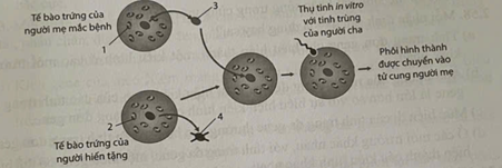 Hình dưới đây mô tả sơ đồ phương pháp sinh trẻ
