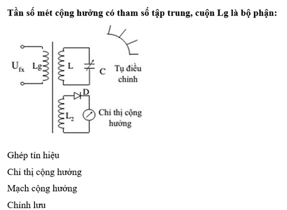Hình ảnh (ảnh 1)