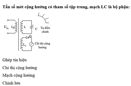Hình ảnh (ảnh 1)
