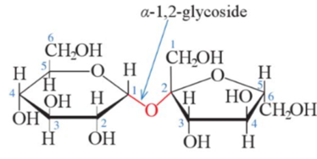 Carbohydrate nào dưới đây không có nhóm −OH hemiacetal (hoặc hemikatal)? A. Glucose. B. Fructose. C. Saccharose. D. Maltose (ảnh 1)