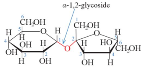 Carbohydrate nào dưới đây không có nhóm −OH hemiacetal (hoặc hemikatal)?  (ảnh 1)