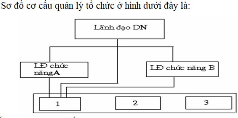 Sơ đồ cơ cấu quản lý dưới đây là: (ảnh 1)