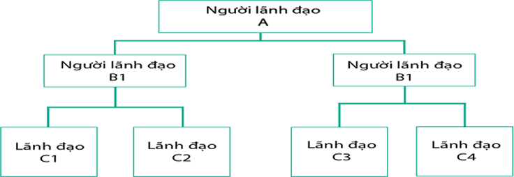 Sơ đồ cơ cấu quản lý ở hình dưới đây là: (ảnh 1)