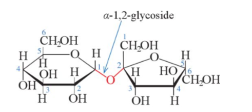 Carbohydrate nào dưới đây không có nhóm −OH hemiacetal (hoặc hemikatal)? (ảnh 1)
