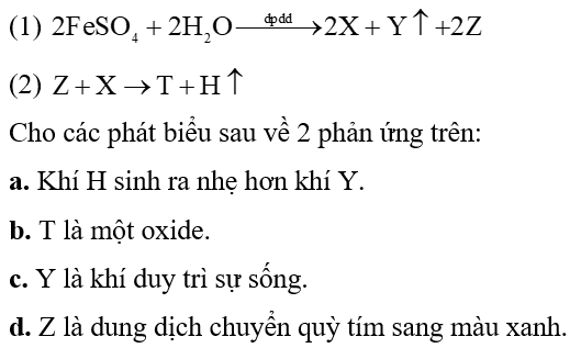Cho 2 phản ứng sau:(1) (2) \(Z + X \to T + H \uparrow \)Cho các phát biểu sau về 2 phản ứng trên:Có bao nhiêu phát biểu là đúng? (ảnh 1)