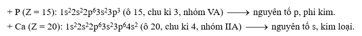 Nguyên tố phosphorus (P) có Z = 15, có trong thành phần của một loại phân bón, diêm, pháo hoa; nguyên tố calcium (Ca) có Z = 20, đóng vai trò rất quan trọng đối với cơ thể, đặc biệt là xương  (ảnh 1)