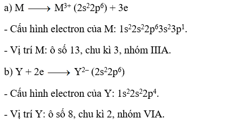 Cation M3+ và anion Y2– đều có cấu hình electron lớp ngoài cùng là 2s22p6. Hãy xác định vị trí của các nguyên tố M, Y trong bảng tuần hoàn. (ảnh 1)