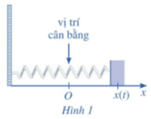 Một con lắc lò xo dao động điều hoà theo phương ngang trên mặt phẳng không ma sát như Hình 1, có vận tốc tức thời cho bởi v(t) = 4cos t, trong đó t tính bằng giây và v(t) tính bằng centimét/giây. (ảnh 1)