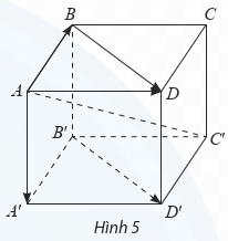 Cho hình hộp ABCD.A′B′C′D′ (Hình vẽ). Trong mặt phẳng (ABCD), tìm vectơ tổng AB + AD (ảnh 1)