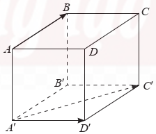 Cho hình lập phương ABCD.A′B′C′D′. Xác định góc (AB, A'D'), (AB, A'C') (ảnh 1)