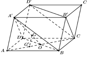 Cho hình hộp ABCD.A'B'C'D', gọi G là trọng tâm tam giác A'BD. Xét phép chiếu song song theo phương A'A lên mặt phẳng (ABCD). Khi đó:a) Ảnh của điểm B' là điểm B.b) Ảnh của đoạn thẳng A'D là đ (ảnh 1)