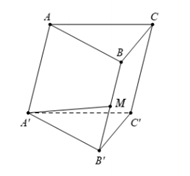 (Đúng hay sai) AM = -b + c + 1/2 a (ảnh 1)