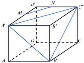(Trả lời ngắn) Cho hình lâp phương ABCD.A'B'C'D' có cạnh bằng a. Gọi M, N lần lượt là trung điểm của A'D' và C'D' (ảnh 1)