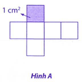 Số? (ảnh 1)