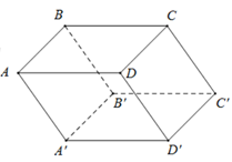Trong không gian Oxyz, cho hình hộp ABCD.A'B'C'D' có A(0; 0; 1), B'(1; 0; 0), C'(1; 1; 0). Tìm tọa độ điểm D (ảnh 1)