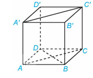   Cho hình lập phương ABCD.A'.B'.C'.D' (ảnh 1)