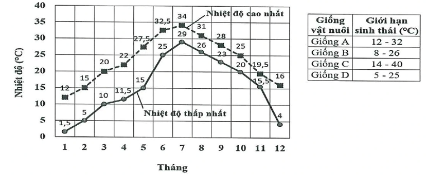 Hình dưới đây biểu thị sự biến động về nhiệt độ giả định cao nhất và thấp nhất theo tháng ở một vùng. Thời gian sinh trưởng từ khi bắt đầu nuôi trong môi trường tự nhiên đến khi xuất chuồng của các giống vật nuôi A, B, C và D tối thiểu là 160 ngày. Bảng dưới đây cho biết giới hạn sinh thái về nhiệt độ của bốn giống vật nuôi này. Giả sử các điều kiện sinh thái khác của môi trường không ảnh hưởng đến sức sống của các giống vật nuôi đang nghiên cứu. Khi nhiệt độ môi trường thấp hơn giới hạn dưới hoặc cao hơn giới hạn trên của mỗi giống vật nuôi thì chúng sẽ bị chết.  a) Giống A phù hợp để chăn thả ở vùng này.  b) Có thể nuôi giống D từ tháng hai để đảm bảo năng suất khi xuất chuồng là cao nhất.  c) Để đảm bảo đủ thời gian xuất chuồng, giống C là phù hợp nhất chăn thả ở vùng này.  d) Không thể nuôi được giống B trong 160 ngày để xuất chuồng ở vùng này. (ảnh 1)