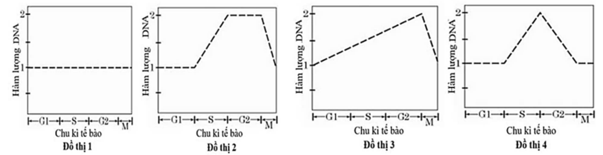 Các đồ thị từ 1 đến 4 dưới đây phản ánh về sự biến đổi hàm lượng DNA trong nhân của một tế bào trong quá trình phân bào.     Đồ thị nào phản ánh đúng sự biến đổi hàm lượng DNA ở kì trung gian và quá trình nguyên phân? (ảnh 1)