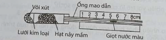 Một bạn học sinh đã thiết kế thí nghiệm chứng minh hô hấp ở thực vật tiêu thụ O2 như hình dưới đây.    Giọt nước màu sẽ dịch chuyển về bên trái (1) hay bên phải (2) của ống mao dẫn? (ảnh 1)