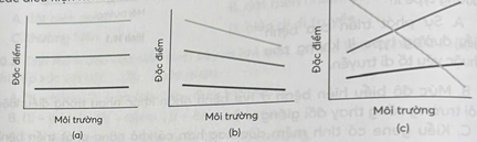 Hình nào dưới đây minh hoạ sự mềm dẻo của đặc điểm kiểu hình trong các điều kiện môi trường khác nhau? A. Hình (a). B. Hình (c). C. Hình (a) và (c) . D. Hình (b) và (c). (ảnh 1)