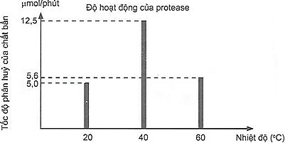 Protease là một loại enzyme quan trọng, không thể thiếu trong tất cả các sản phẩm giặt rửa, đặc biệt là trong bột giặt. Protease có khả năng phân huỷ các vết bẩn khó sạch như thức ăn, máu và các dịch cơ thể, giúp làm sạch hiệu quả hơn. Để khảo sát độ hoạt động của protease theo nhiệt độ, người ta tiến hành thí nghiệm nghiên cứu tốc độ phân huỷ chất bẩn bởi protease. Kết quả cho bởi biểu đồ sau: (ảnh 1)