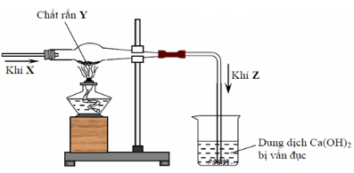 Hình vẽ sau đây mô tả thí nghiệm khí X tác dụng với chất rắn Y, nung nóng sinh ra khí Z: Cho các phát biểu sau: a. Khí X là chất khí không màu, không mùi, ít tan trong nước, rất độc. b. Khí Z là nguyên nhân gây hiệu ứng nhà kính. c. Phương trình tạo ra khí Z là CuO + CO Cu + CO2. d. Thí nghiệm được sử dụng để điều chế kim loại nhóm IA, IIA. Số phát biểu đúng là (ảnh 1)