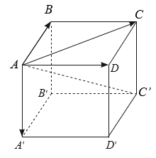 Cho hình hộp ABCD.A′B′C′D′. Tìm các vectơ tổng AB + AD; AC + AA' (ảnh 1)