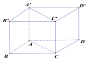 (Đúng hay sai) Cho hình hộp ABCD.A'B'C'D'. Thực hiện phép toán u = A'D' + A'B' + A'A bằng u = A'C' (ảnh 1)