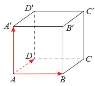  Cho hình lập phương ABCD A'.B'.C'.D' (ảnh 1)