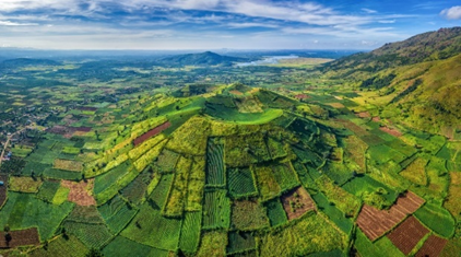 Một đội thanh niên tình nguyện gồm 11 thành viên đến từ các tỉnh, thành phố như sau: Kon Tum; Bình Phước; Tây Ninh; Bình Dương; Gia Lai; Bà Rịa – Vũng Tàu; Đồng Nai; Đăk Lăk; Đăk Nông; Lâm Đồng; Thành phố Hồ Chí Minh, mỗi tỉnh, thành phố chỉ có đúng một thành viên trong đội. Chọn ngẫu nhiên một thành viên của đội tình nguyện đó.  a) Gọi \(K\) là tập hợp gồm các kết quả có thể xảy ra đối với thành viên được chọn. Tính số phần tử của tập hợp \(K\).  b) Tính xác suất của mỗi biến cố: “Thành viên được chọn ra đến từ vùng Tây Nguyên”.  c) Tính xác suất của mỗi biến cố: “Thành viên được chọn ra đến từ vùng Đông Nam Bộ”. (ảnh 1)