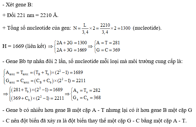 Gene B dài 221 nm và có 1669 liên kết hydrogen, gene B bị đột biến thành gene b. Từ một tế bào chứa cặp gene Bb qua 2 lần nguyên phân bình thường, môi trường nội bào đã cung cấp cho quá trình nhân đôi của cặp gene này 1689 nucleotide loại T và 2211 nucleotide loại C. Dạng đột biến đã xảy ra với gene B là dạng đột biến nào? (ảnh 1)