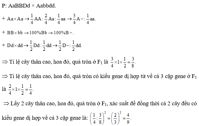 Ở một loài thực vật, gene A quy định hoa đỏ trội hoàn toàn với gene a quy định hoa trắng; gene B quy định quả tròn trội hoàn toàn so với gene b quy định quả dài; gene D quy định thân cao trội hoàn toàn so với gene d quy định thân thấp. Các gene nằm trên NST thường khác nhau và trội hoàn toàn. Xét phép lai P: AaBBDd × Aabbdd thu được đời F1. Lấy 2 cây thân cao, hoa đỏ, quả tròn ở F1, xác suất để đồng thời cả 2 cây đều có kiểu gene dị hợp về cả 3 cặp gene là bao nhiêu? (ảnh 1)