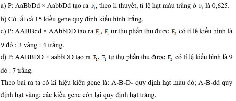 Ở ngô, có 3 cặp gene (Aa; Bb; Dd) thuộc các NST khác nhau, tác động qua lại cùng quy định màu sắc hạt. Khi trong kiểu gene có mặt đồng thời cả 3 allele trội A, B, D cho hạt có màu đỏ; kiểu gene có mặt A và B nhưng vắng mặt gene D cho kiểu hình vàng, các kiểu gene còn lại đều cho hạt màu trắng. Trong các dự đoán sau, có bao nhiêu dự đoán đúng? a) P: AaBbDd × AabbDd tạo ra  , theo lí thuyết, tỉ lệ hạt màu trắng ở   là 0,625.  b) Có tất cả 15 kiểu gene quy định kiểu hình trắng. c) P: AABBdd × AAbbDD tạo ra  ,   tự thụ phấn thu được   có tỉ lệ kiểu hình là 9 đỏ : 3 vàng : 4 trắng. d) P: AABBDD × aabbDD tạo ra  ,   tự thụ phấn thu được   có tỉ lệ kiểu hình là 9 đỏ : 7 trắng. Theo bài ra ta có kí hiệu kiểu gene là: A-B-D- quy định hạt màu đỏ; A-B-dd quy định hạt vàng; các kiểu gene còn lại quy định hạt trắng. (ảnh 1)