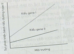 Sự phát triển của bệnh tiểu đường type lI ở hai bệnh nhân được theo dõi và ghi lại như biểu đồ ở hình dưới đây. Yếu tố môi trường trong đồ thị từ trái sang phải thể hiện chế độ ăn uống ngày càng kém, chế độ hoạt động ngày càng ít hơn và có lối sống tiêu cực như hút thuốc. Phát biểu nào dưới đây đúng về sự phát triển bệnh tiểu đường type II? a) Sự phát triển của bệnh tiểu đường type II không phụ thuộc yếu tố di truyền. b) Mức độ biểu hiện bệnh ở hai bệnh nhân khác nhau trong điều kiện môi trường sống thay đổi giống nhau. c) Kiểu gene có tính mềm dẻo cao hơn có khả năng phát triển bệnh tiểu đường type II thấp hơn. d) Người bệnh thay đổi chế độ ăn uống, tăng cường vận động và không hút thuốc có thể chữa khỏi bệnh tiểu đường. (ảnh 1)