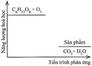 Khi 1 mol đường sucrose bị đốt cháy hoàn toàn với một (ảnh 1)