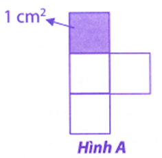 Số? (ảnh 1)