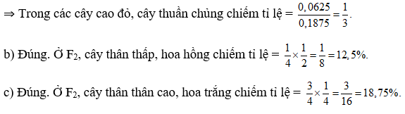 Một loài thực vật, allele A quy định thân cao trội hoàn toàn so với allele a quy định thân thấp; allele B quy định hoa đỏ trội không hoàn toàn so với allele b quy định hoa trắng, kiểu gene Bb quy định hoa hồng; hai cặp gene này phân li độc lập. Cho cây thân cao, hoa trắng giao phấn với cây thân thấp, hoa đỏ (P), thu được F1 gồm 100% cây thân cao, hoa hồng. Cho F1 tự thụ phấn, thu được F2. Biết rằng không xảy ra đột biến. Theo lí thuyết, mỗi phát biểu sau đây là đúng hay sai? a) Trong tổng số cây thân cao, hoa đỏ (A-BB) ở F2, số cây thuần chủng (AABB) chiếm 25%. b) F2 có 12,5% số cây thân thấp, hoa hồng. c) F2 có 18,75% số cây thân cao, hoa trắng. d) F2 có 2 loại kiểu gene quy định kiểu hình thân cao, hoa hồng. (ảnh 1)