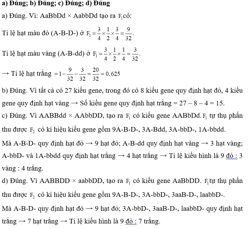 Ở ngô, có 3 cặp gene (Aa; Bb; Dd) thuộc các NST khác nhau, tác động qua lại cùng quy định màu sắc hạt. Khi trong kiểu gene có mặt đồng thời cả 3 allele trội A, B, D cho hạt có màu đỏ; kiểu gene có mặt A và B nhưng vắng mặt gene D cho kiểu hình vàng, các kiểu gene còn lại đều cho hạt màu trắng. Trong các dự đoán sau, có bao nhiêu dự đoán đúng? a) P: AaBbDd × AabbDd tạo ra  , theo lí thuyết, tỉ lệ hạt màu trắng ở   là 0,625.  b) Có tất cả 15 kiểu gene quy định kiểu hình trắng. c) P: AABBdd × AAbbDD tạo ra  ,   tự thụ phấn thu được   có tỉ lệ kiểu hình là 9 đỏ : 3 vàng : 4 trắng. d) P: AABBDD × aabbDD tạo ra  ,   tự thụ phấn thu được   có tỉ lệ kiểu hình là 9 đỏ : 7 trắng. Theo bài ra ta có kí hiệu kiểu gene là: A-B-D- quy định hạt màu đỏ; A-B-dd quy định hạt vàng; các kiểu gene còn lại quy định hạt trắng. (ảnh 2)